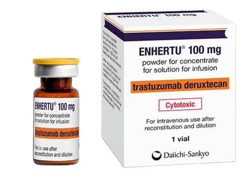 enhertu